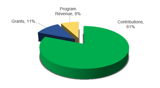 CSED Revenue Pie Chart